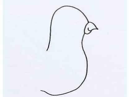 鸽子的简笔画 鸽子的简笔画怎么画