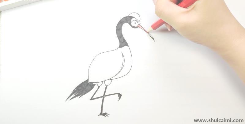 仙鹤儿童简笔画怎么画 仙鹤儿童画顺序