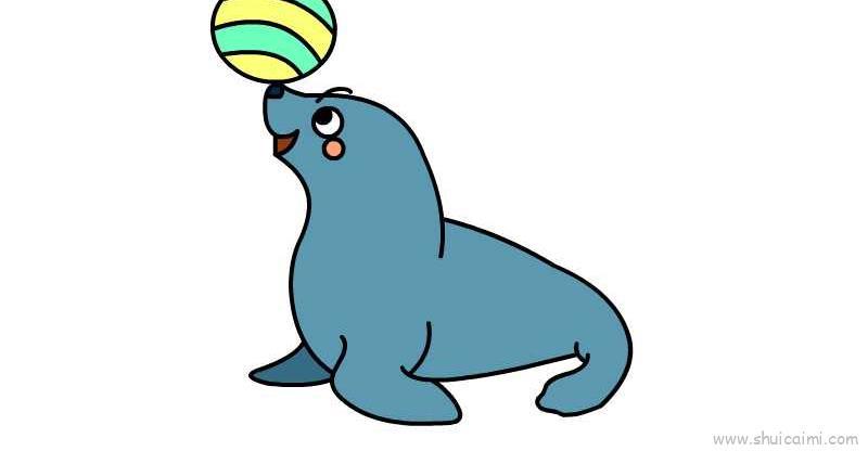 小海豹儿童画怎么画 小海豹简笔画步骤