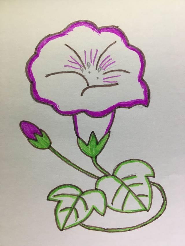 牵牛花简笔画 牵牛花简笔画图片