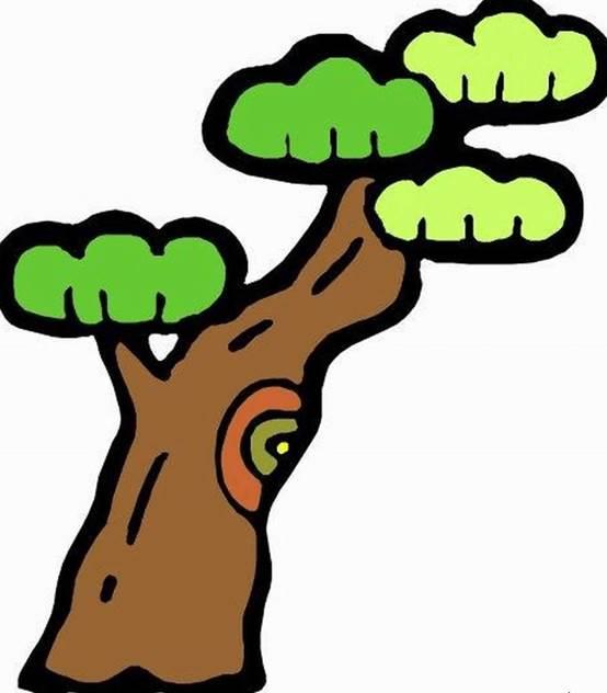 简笔画图片大全树 简笔画图片大全树木带颜色