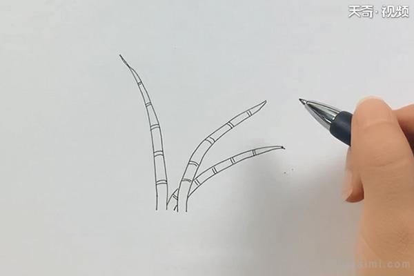 竹子简笔画怎么画 竹子简笔画简单