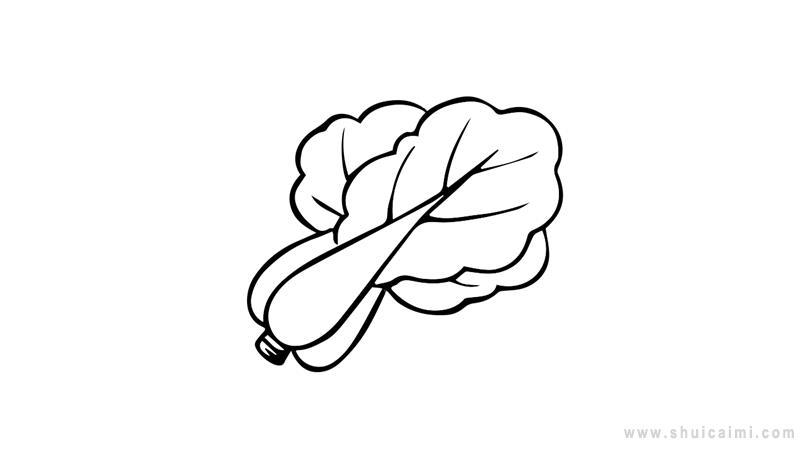 大白菜简笔画怎么画 大白菜简笔画图片