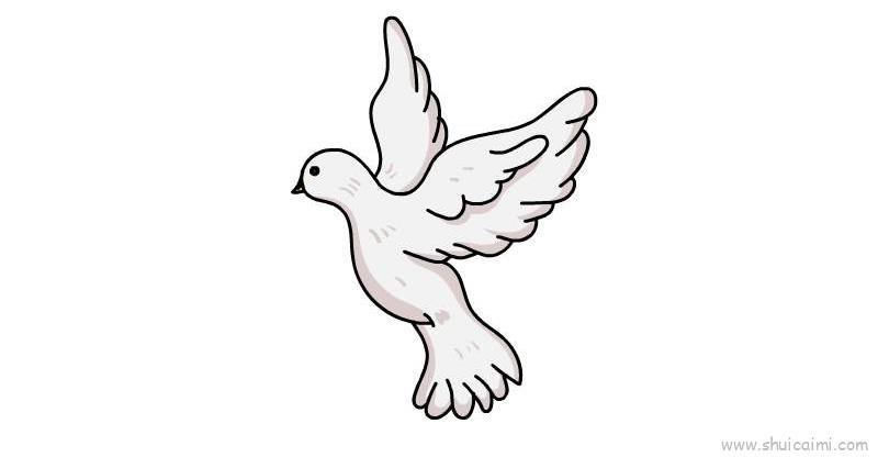 和平鸽儿童画怎么画 和平鸽简笔画好看