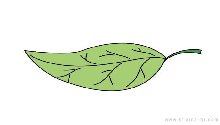 叶子简笔画怎么画 叶子简笔画简单又好看