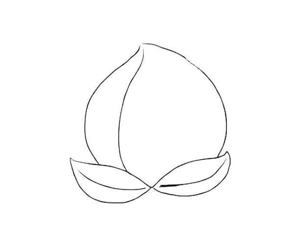水蜜桃简笔画 水蜜桃简笔画图片