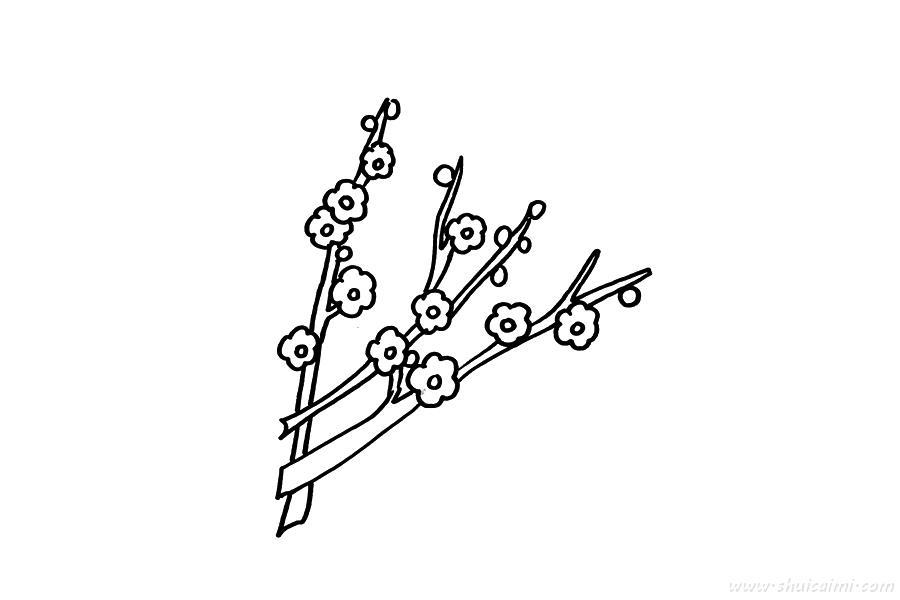 美丽的梅花怎么画 美丽的梅花简笔画简单好看带颜色