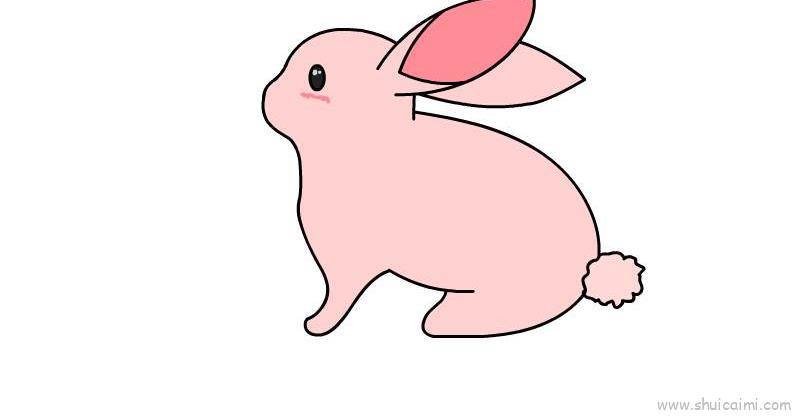 小兔子儿童画怎么画 小兔子简笔画图片