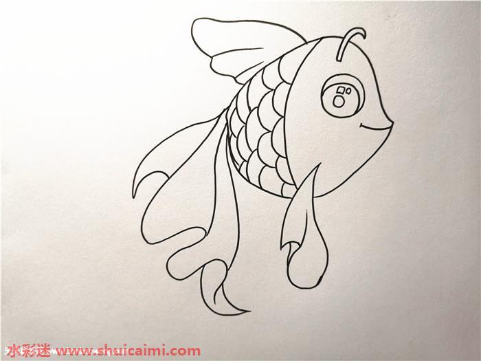 小金鱼怎么画 小金鱼简笔画画法