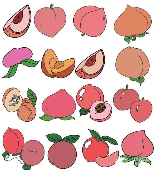 水蜜桃简笔画 水蜜桃简笔画图片