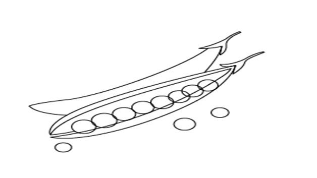 豌豆的简笔画怎么画 豌豆简笔画画法