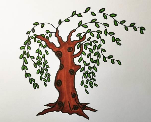 柳树简笔画图片大全 柳树简笔画图片大全大图简单