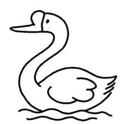白天鹅简笔画 白天鹅简笔画简单又漂亮