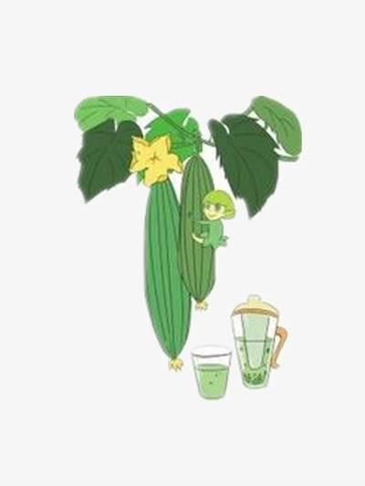 丝瓜简笔画 丝瓜简笔画图片带颜色