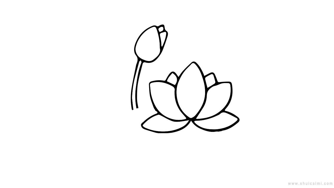 荷叶荷花简笔画怎么画 荷叶荷花简笔画简单