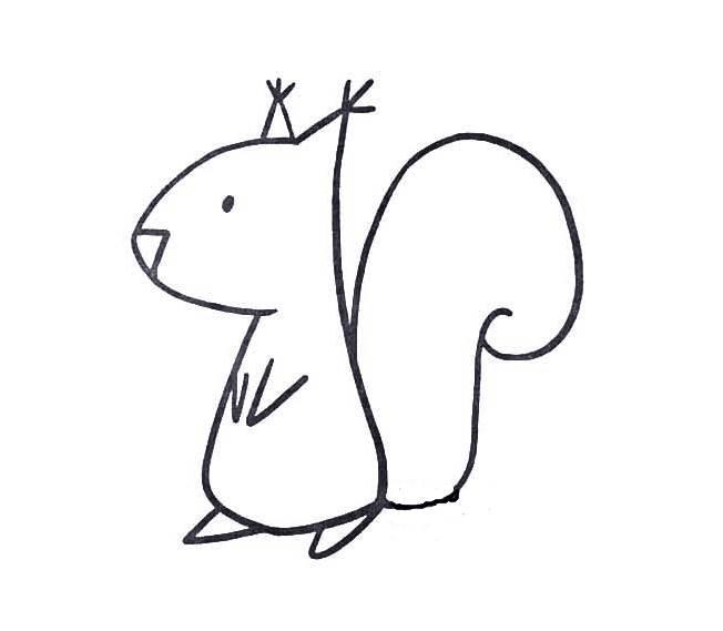 松鼠头简笔画图片大全 松鼠头简笔画图片大全彩色