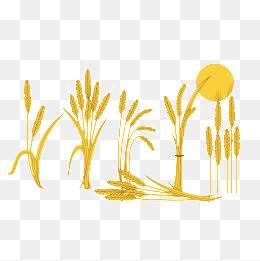 稻子简笔画 农民种稻子简笔画