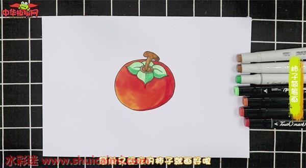 彩色柿子简笔画怎么画？跟着图片教程学习吧