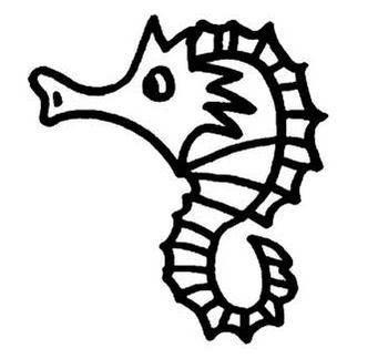 海马简笔画 海马简笔画图片带颜色