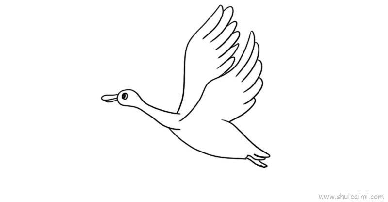 大雁儿童画怎么画 大雁简笔画顺序