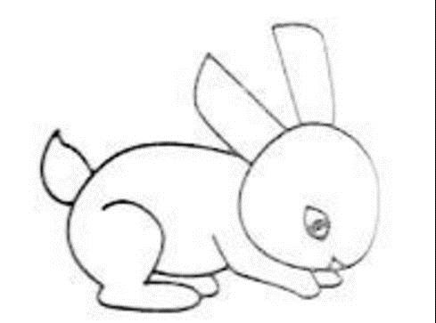 5岁零基础学画画先学什么最好 简笔画创作