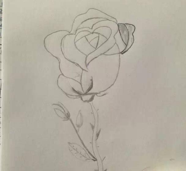 零基础学绘画从哪里入手 学画画能干啥