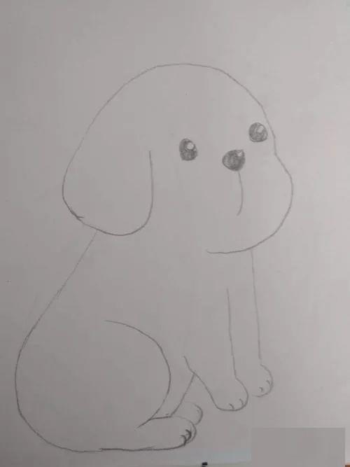 教你怎么画动物的简笔画教程