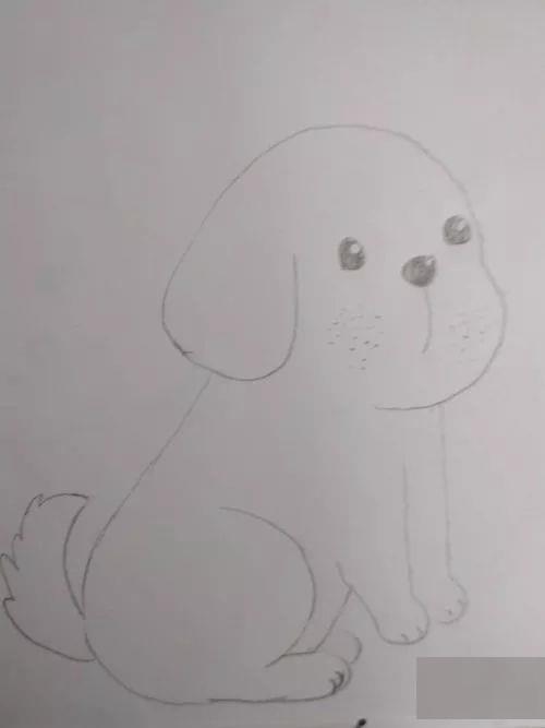 教你怎么画动物的简笔画教程