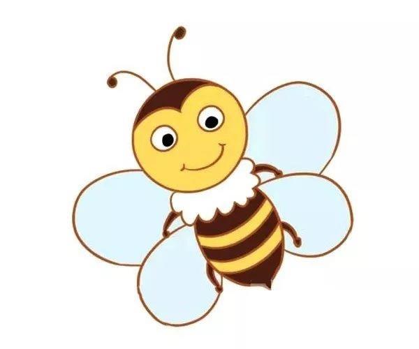 怎么三步画蜜蜂简笔画