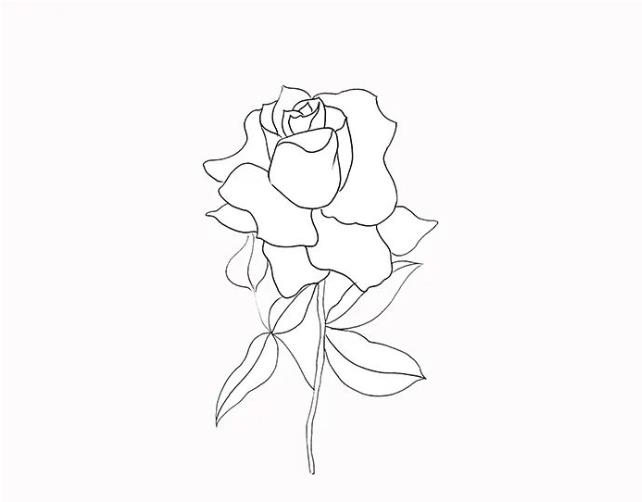 情人节玫瑰简笔画怎么画(含模板素材)