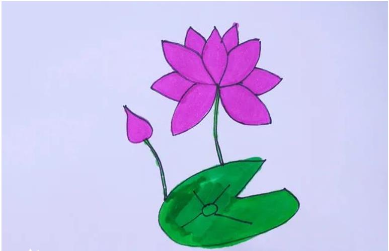 莲花简笔画简单又好看一步一步简单画