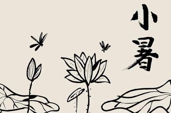 2023最新二十四节气小暑简笔画