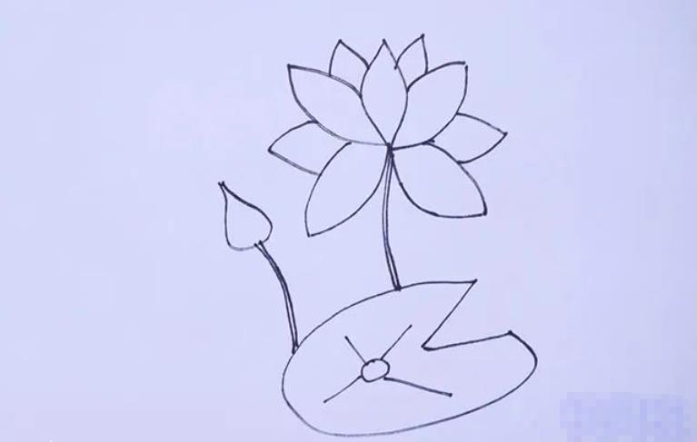 莲花简笔画简单又好看一步一步简单画