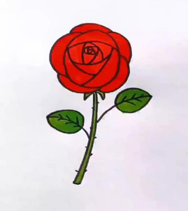 一步一步教我画玫瑰花 玫瑰花简笔画高级感