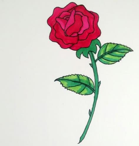 一步一步教我画玫瑰花 玫瑰花简笔画高级感
