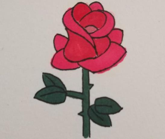 一步一步教我画玫瑰花 玫瑰花简笔画高级感