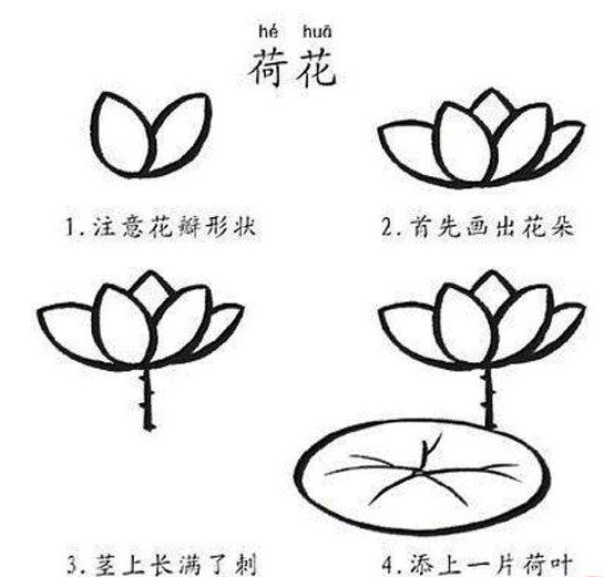 2023荷花简笔画画法步骤图片