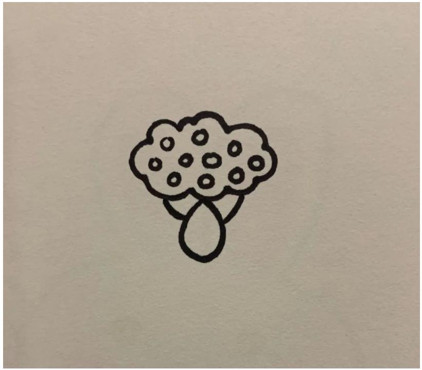 简笔画的莲花怎么画好看又漂亮(含教程步骤)