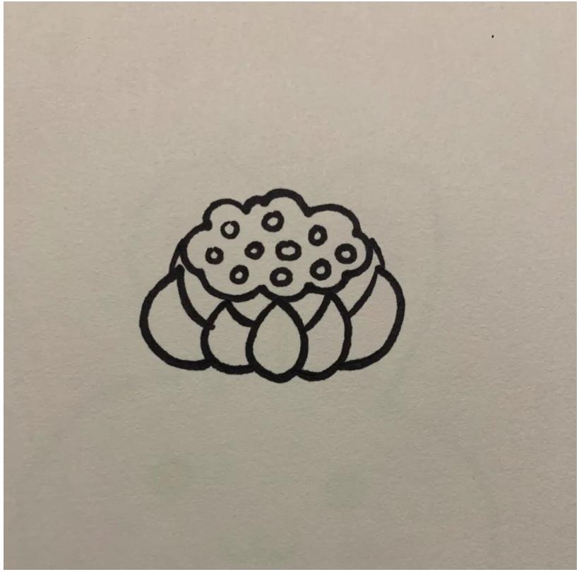 简笔画的莲花怎么画好看又漂亮(含教程步骤)