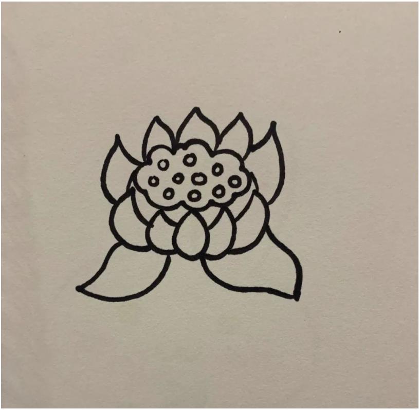 简笔画的莲花怎么画好看又漂亮(含教程步骤)
