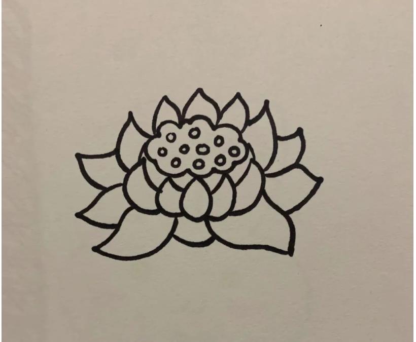 简笔画的莲花怎么画好看又漂亮(含教程步骤)