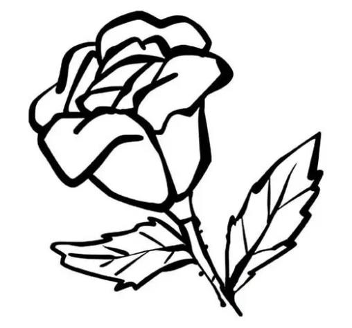 简单的花怎么画 花的简笔画