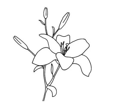 简单的花怎么画 花的简笔画