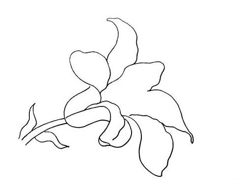 简单的花怎么画 花的简笔画