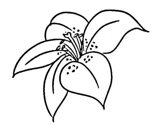 简单的花怎么画 花的简笔画