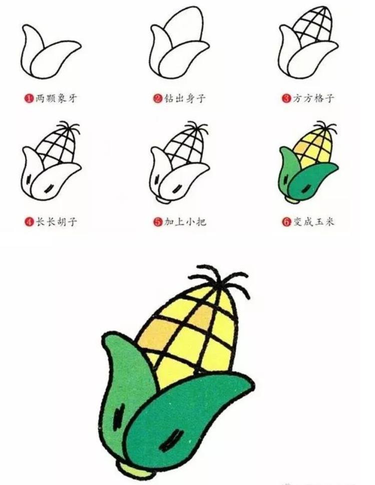 儿童简笔画系列：蔬菜图画简易画画怎么画