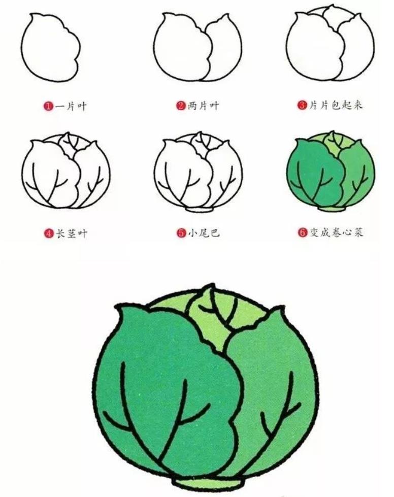 儿童简笔画系列：蔬菜图画简易画画怎么画