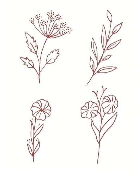 2023画植物简单漂亮图片简笔画大全