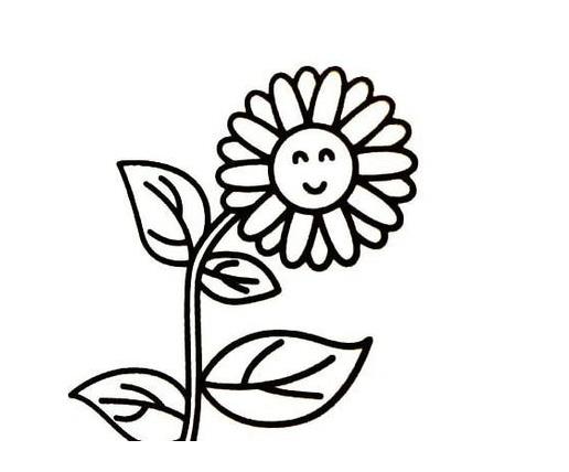 2023画植物简单漂亮图片简笔画大全