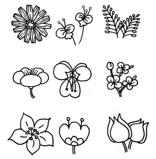 简易花朵画法简笔画图片欣赏